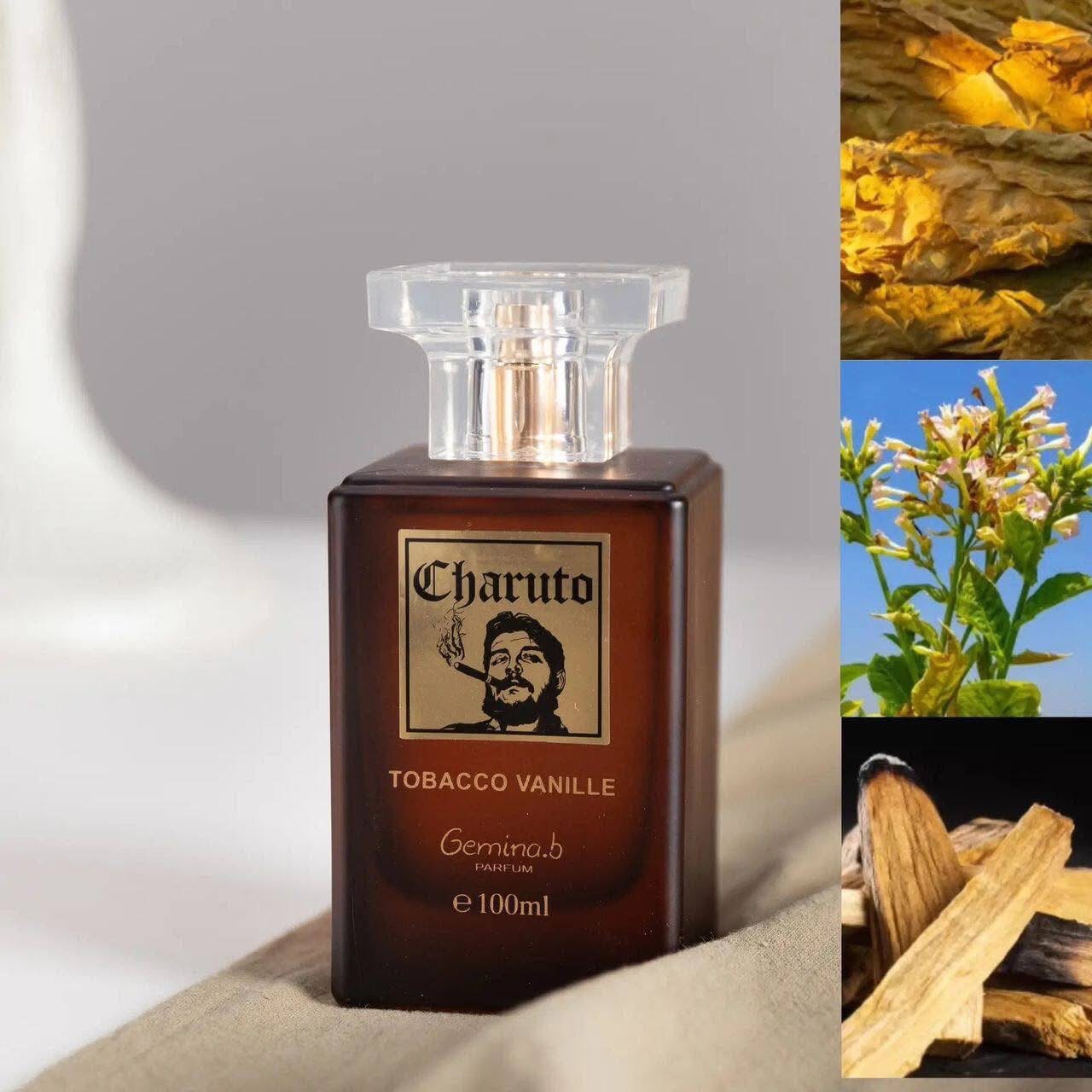 Charuto Tobacco Vanille